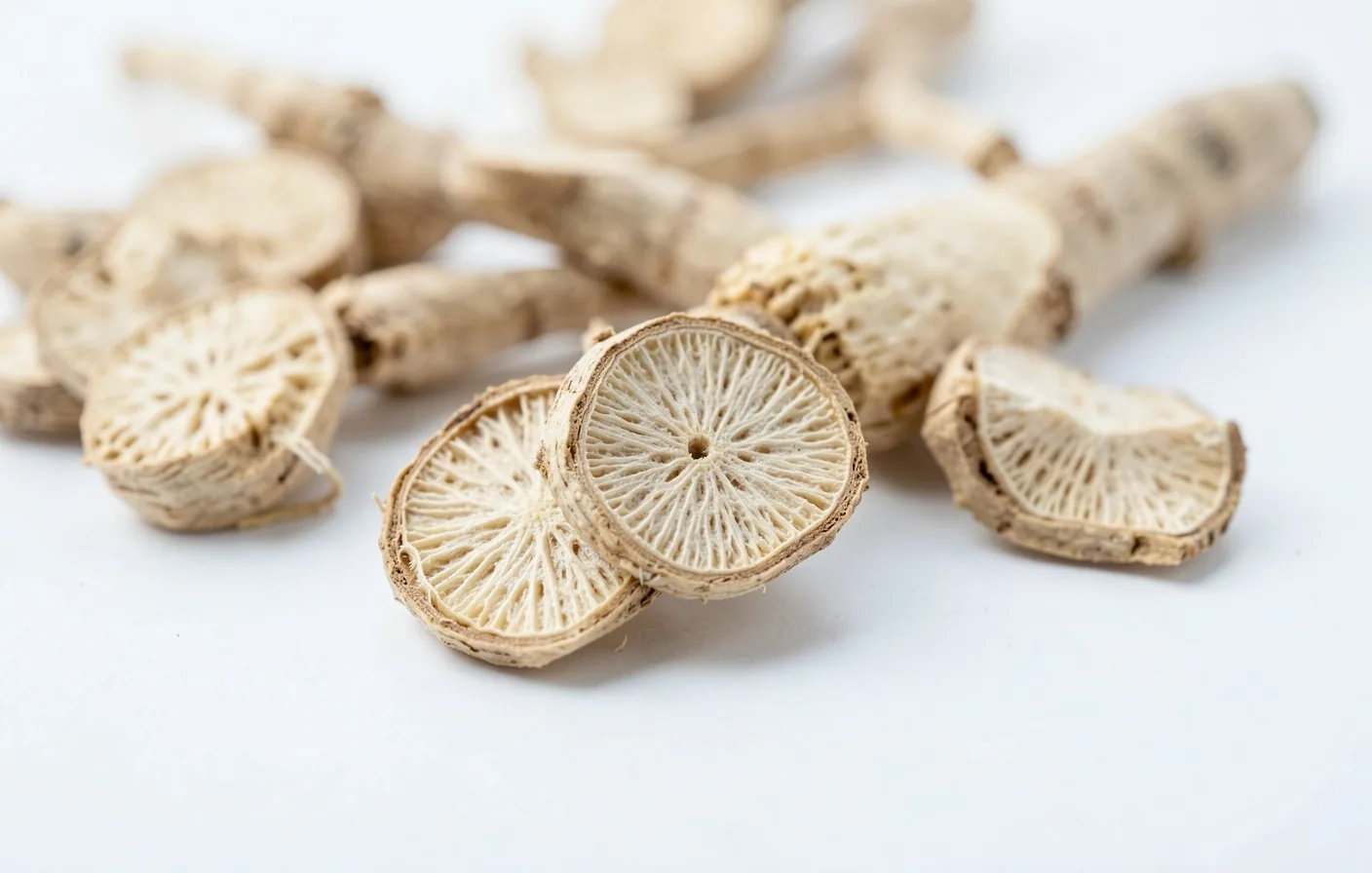 Botanical root cross-sections on a laboratory surface